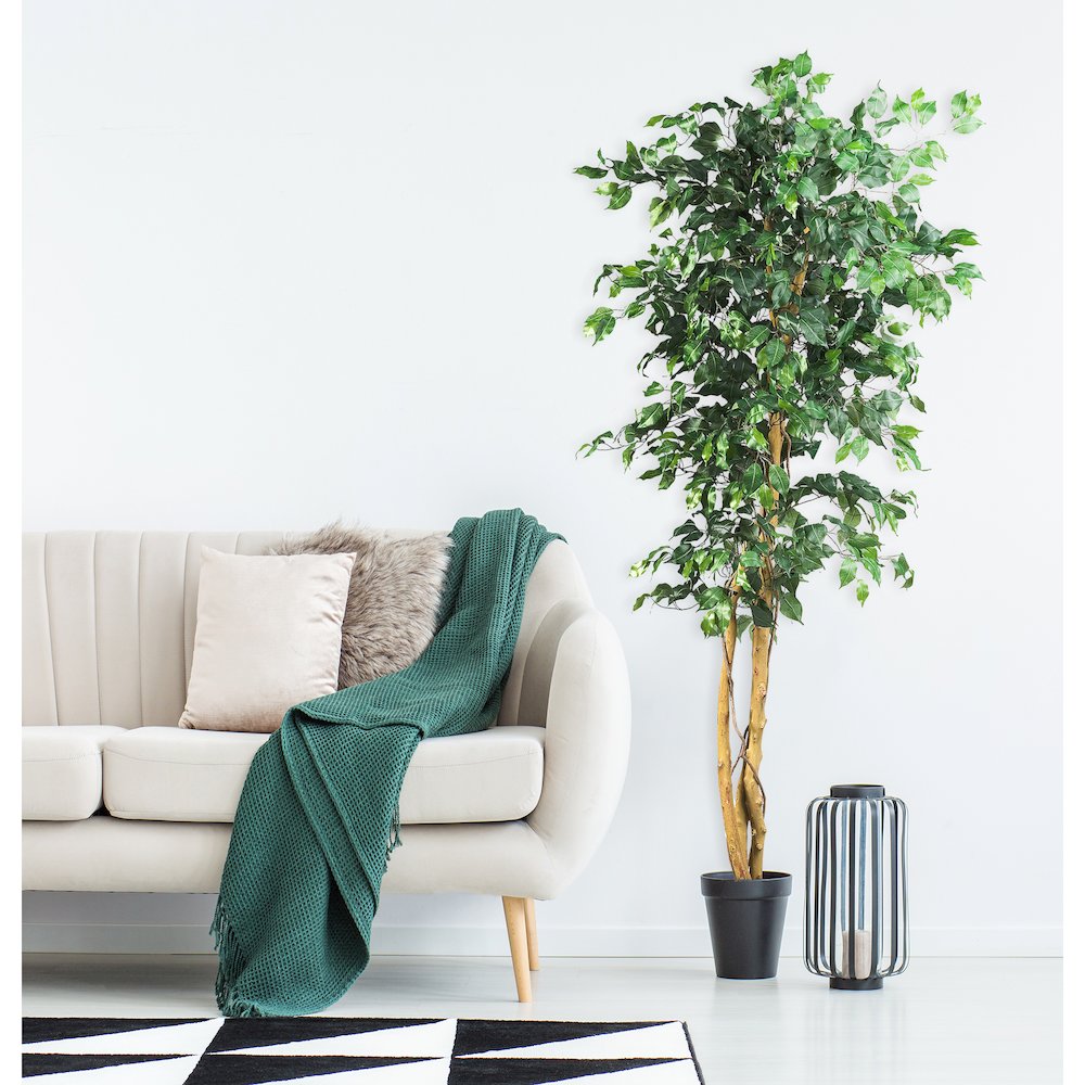 6ft. Artificial Ficus Tree