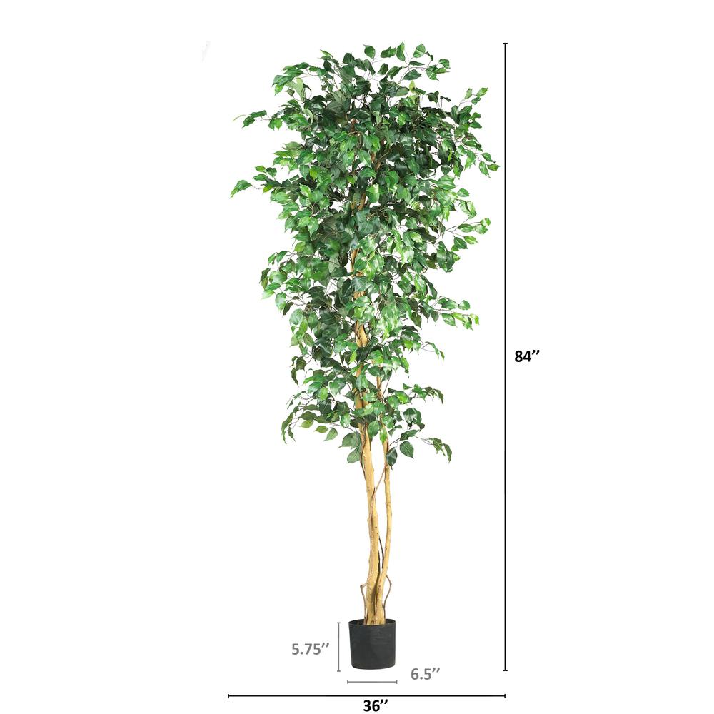 7ft. Ficus Silk Tree