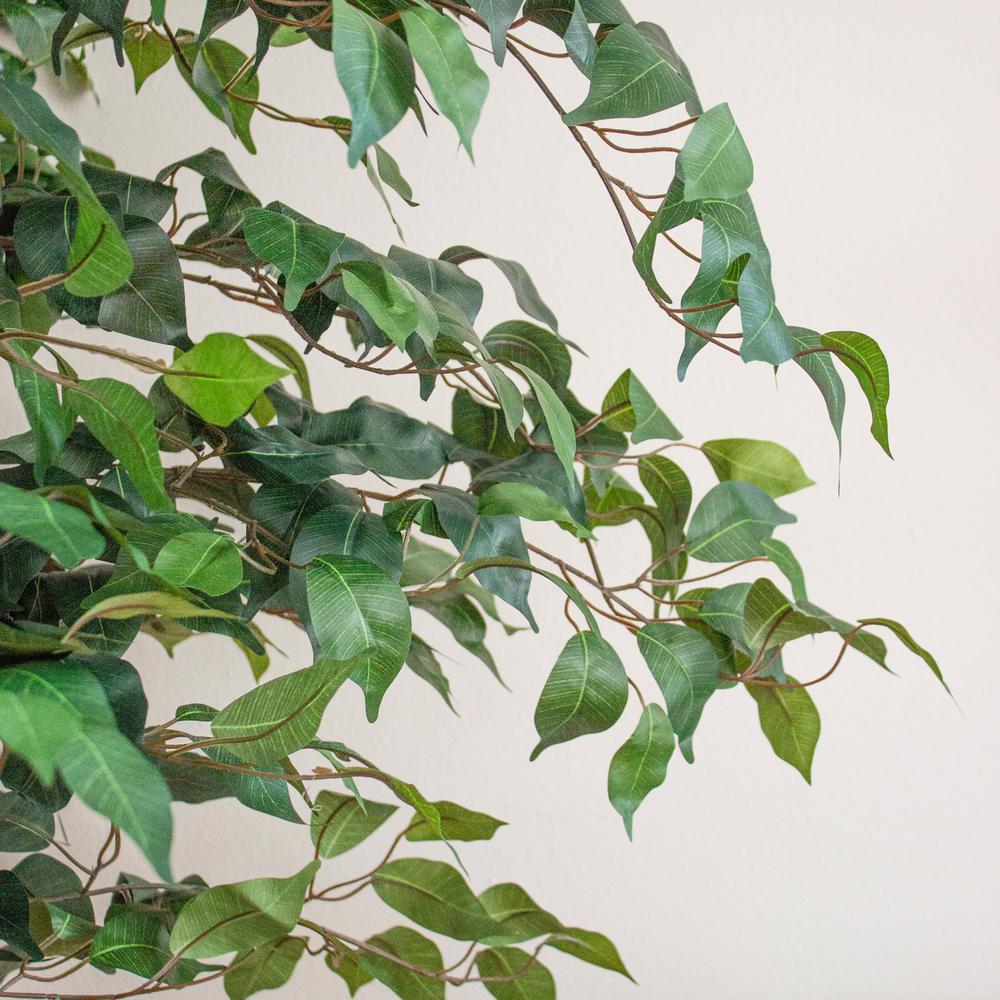 7ft. Ficus Silk Tree
