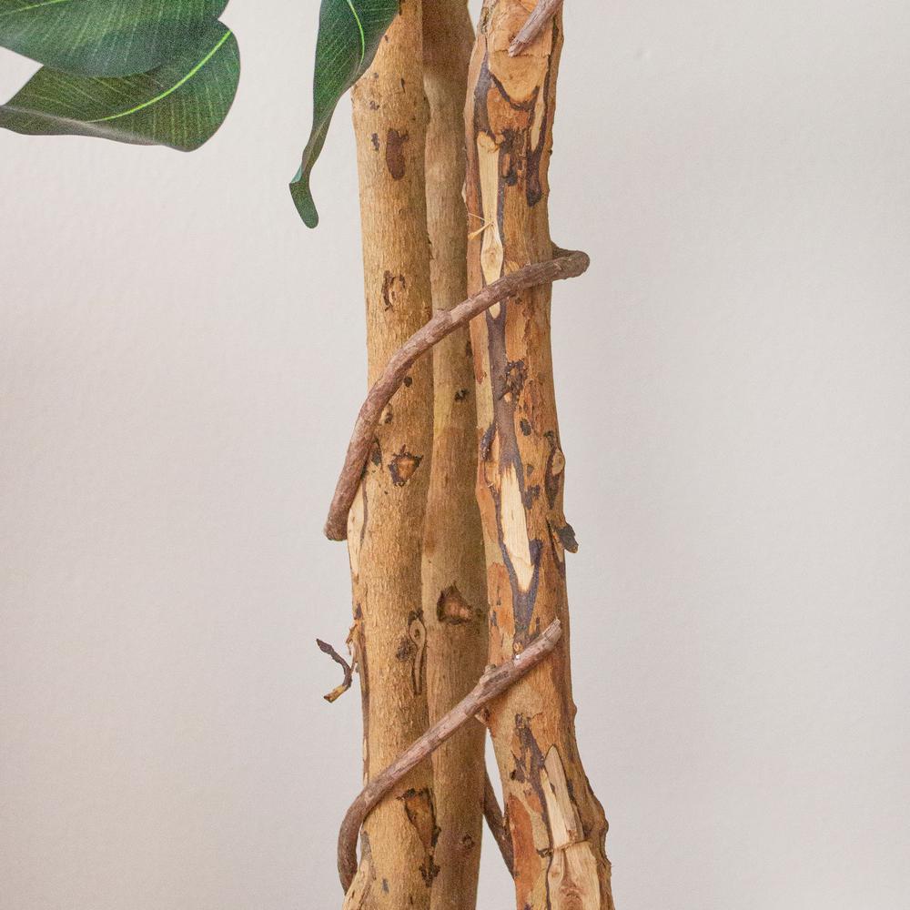 7ft. Ficus Silk Tree