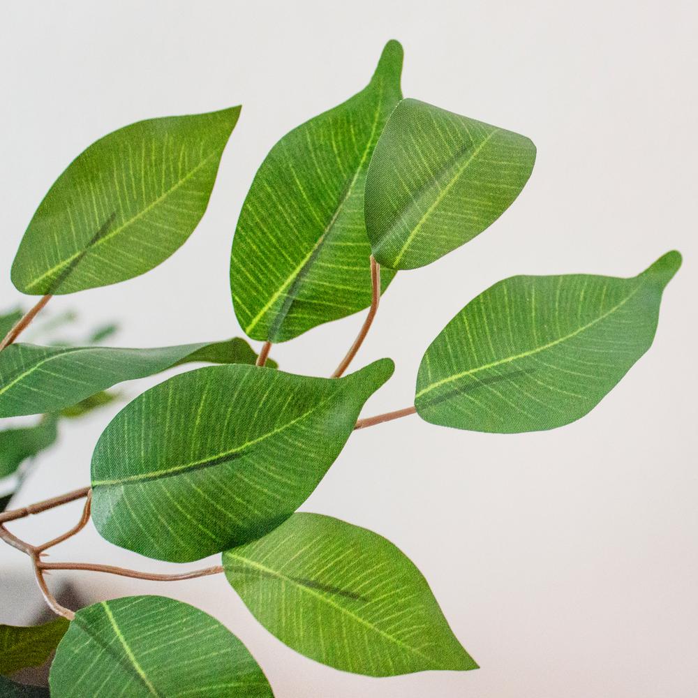 7ft. Ficus Silk Tree