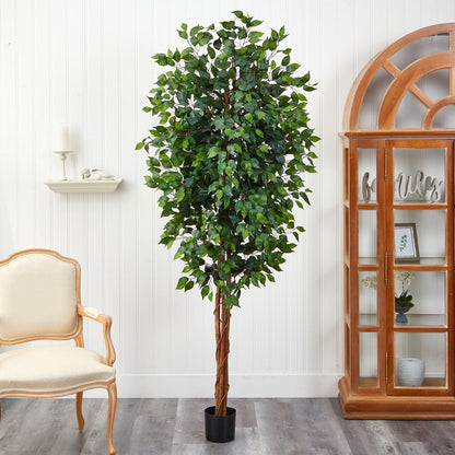 7ft. Ficus Silk Tree