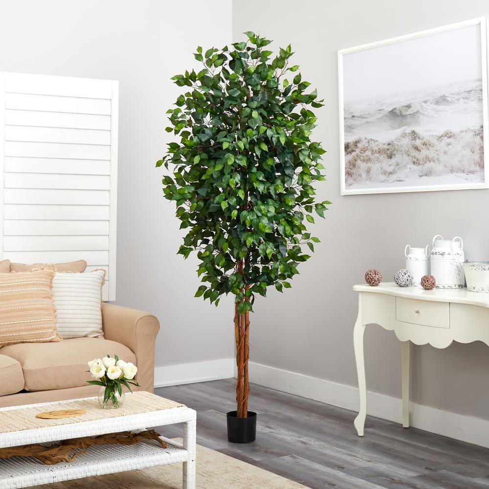 7ft. Ficus Silk Tree