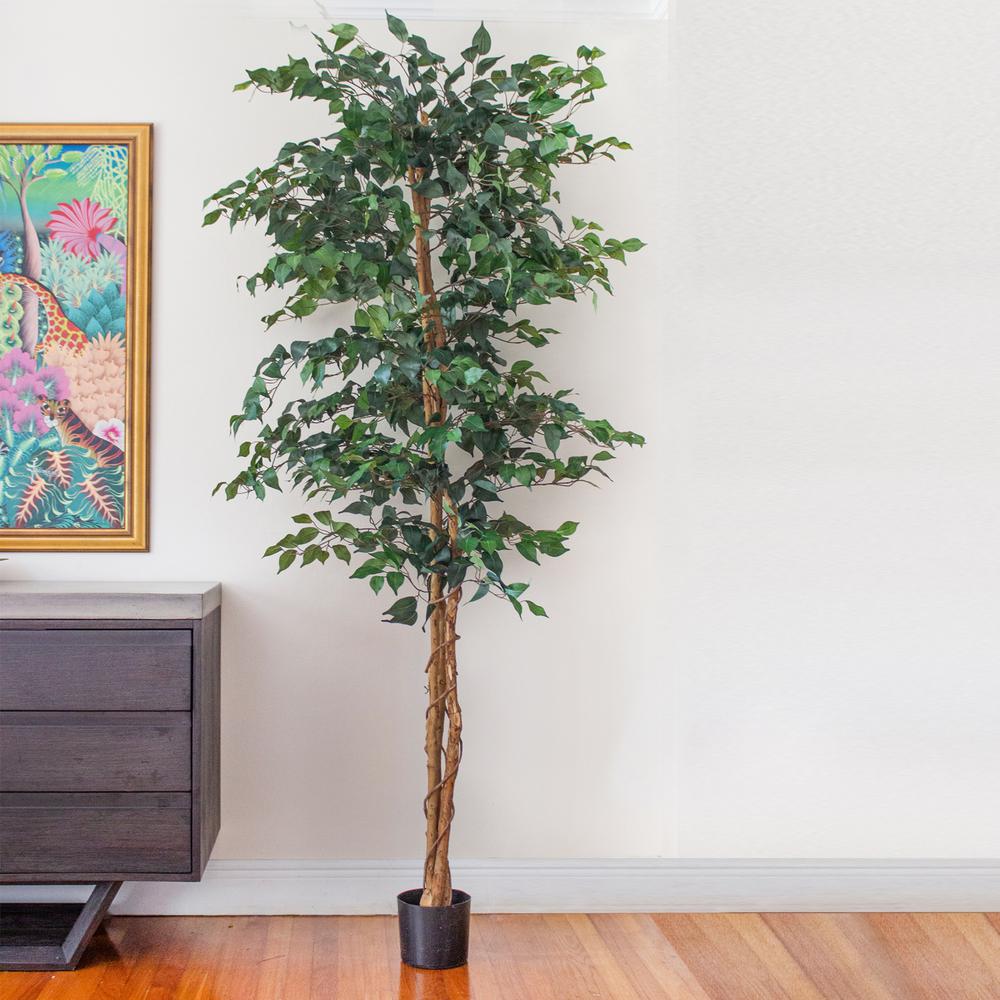 7ft. Ficus Silk Tree