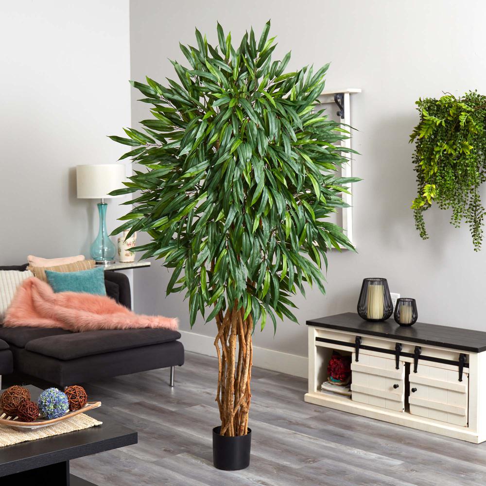 6ft. Weeping Ficus Silk Tree