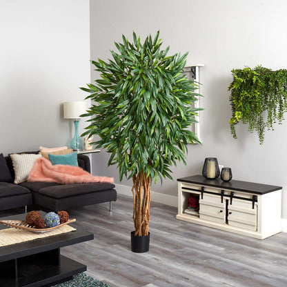 6ft. Weeping Ficus Silk Tree
