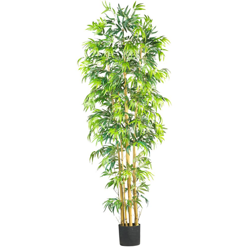 7ft. Bambusa Bamboo Silk Tree