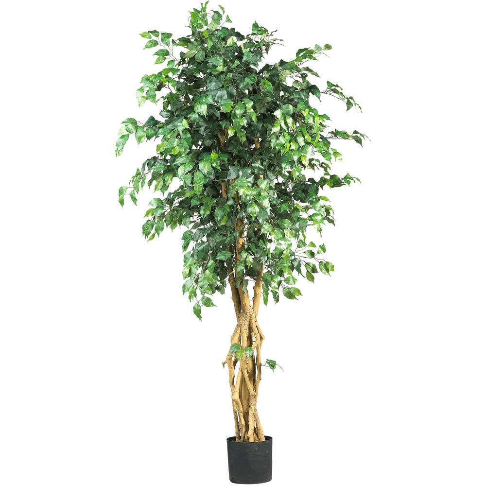 6ft. Palace Style Ficus Silk Tree