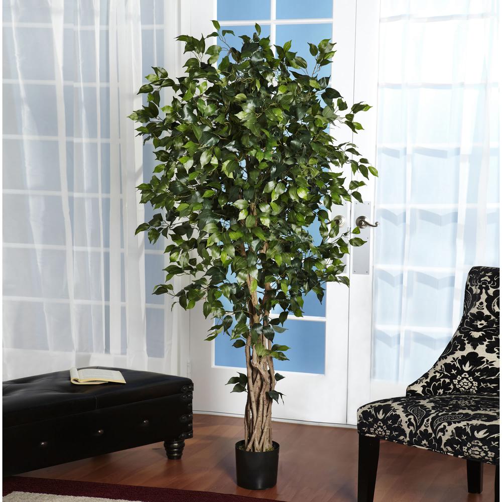 6ft. Palace Style Ficus Silk Tree