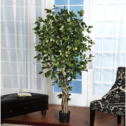 6ft. Palace Style Ficus Silk Tree
