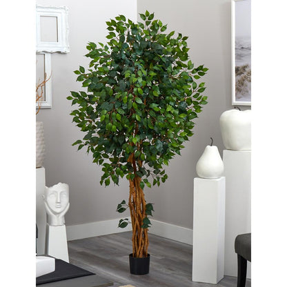 6ft. Palace Style Ficus Silk Tree