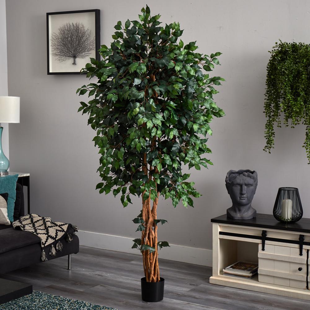 6ft. Palace Style Ficus Silk Tree