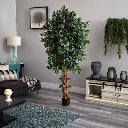 6ft. Palace Style Ficus Silk Tree