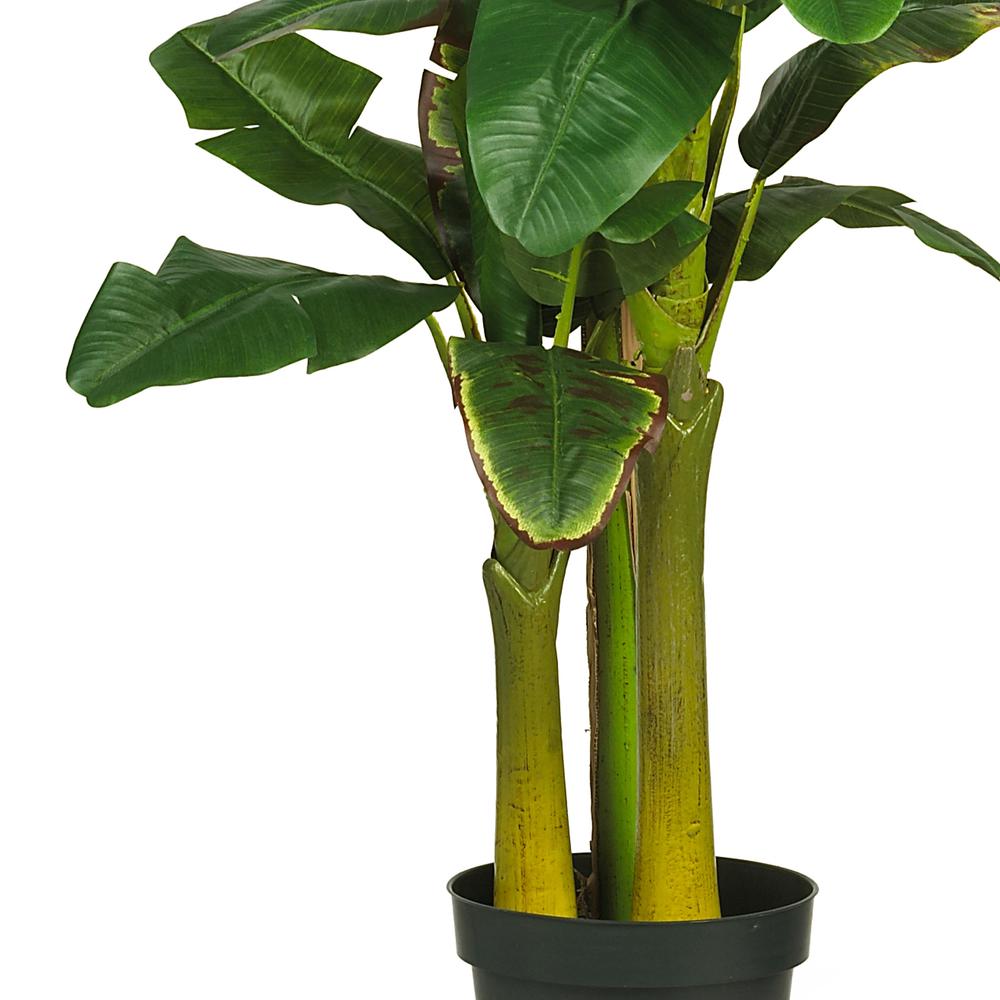 6ft. Triple Stalk Banana Silk Tree