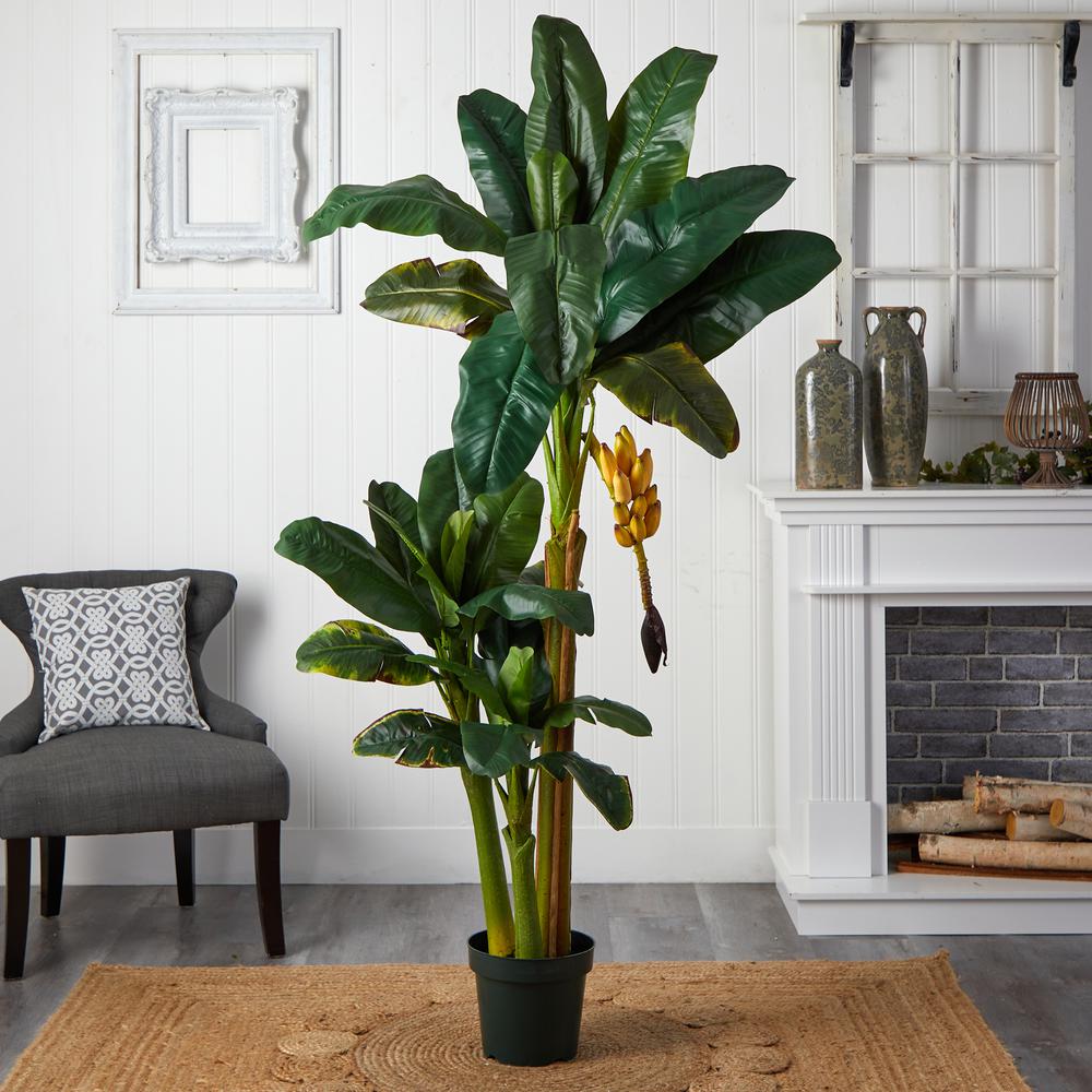 6ft. Triple Stalk Banana Silk Tree