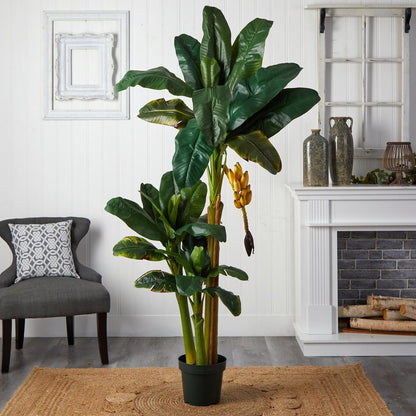 6ft. Triple Stalk Banana Silk Tree