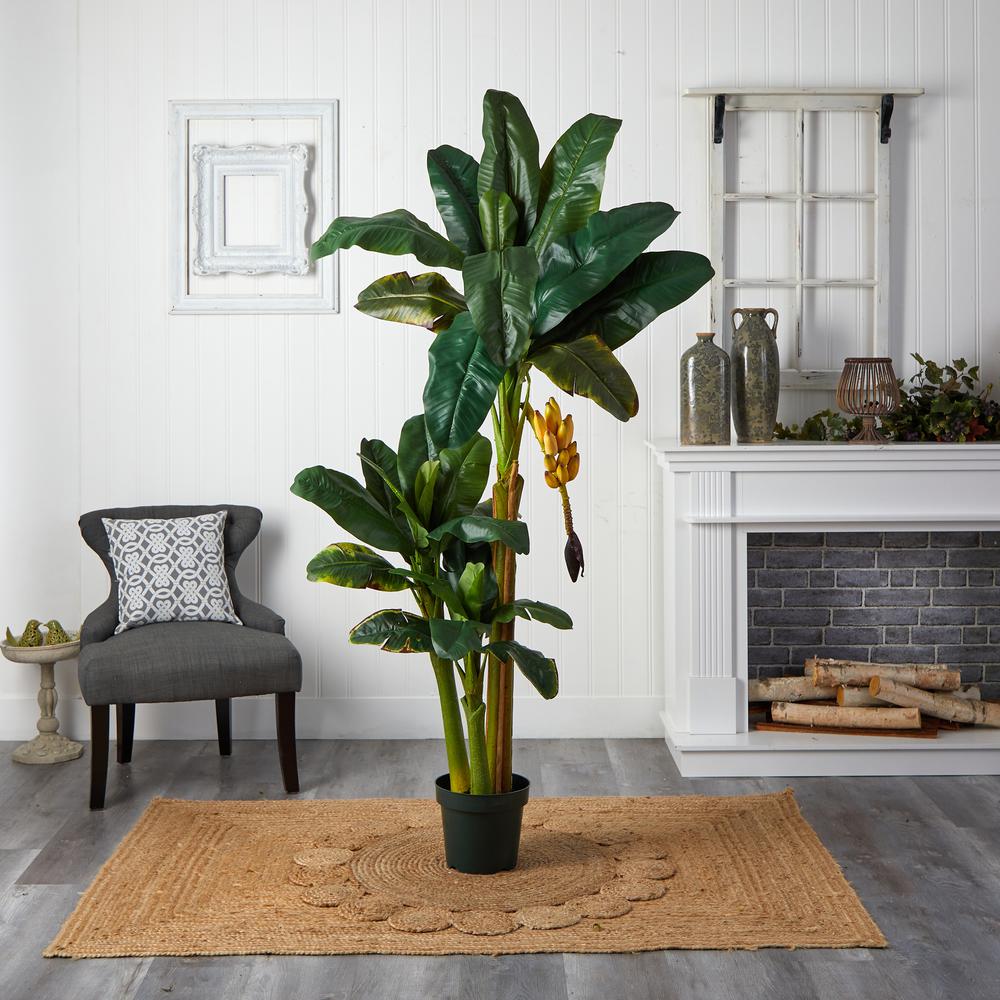 6ft. Triple Stalk Banana Silk Tree