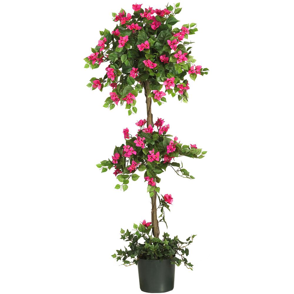 5ft. Mini Bougainvillea Topiary