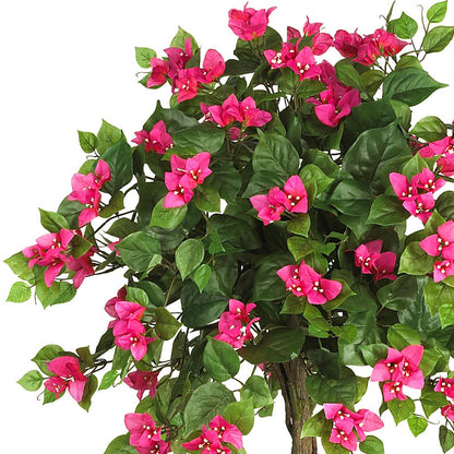 5ft. Mini Bougainvillea Topiary