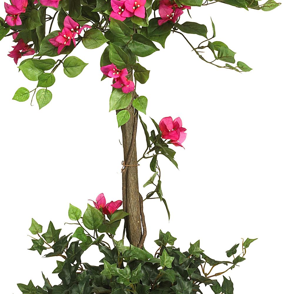5ft. Mini Bougainvillea Topiary