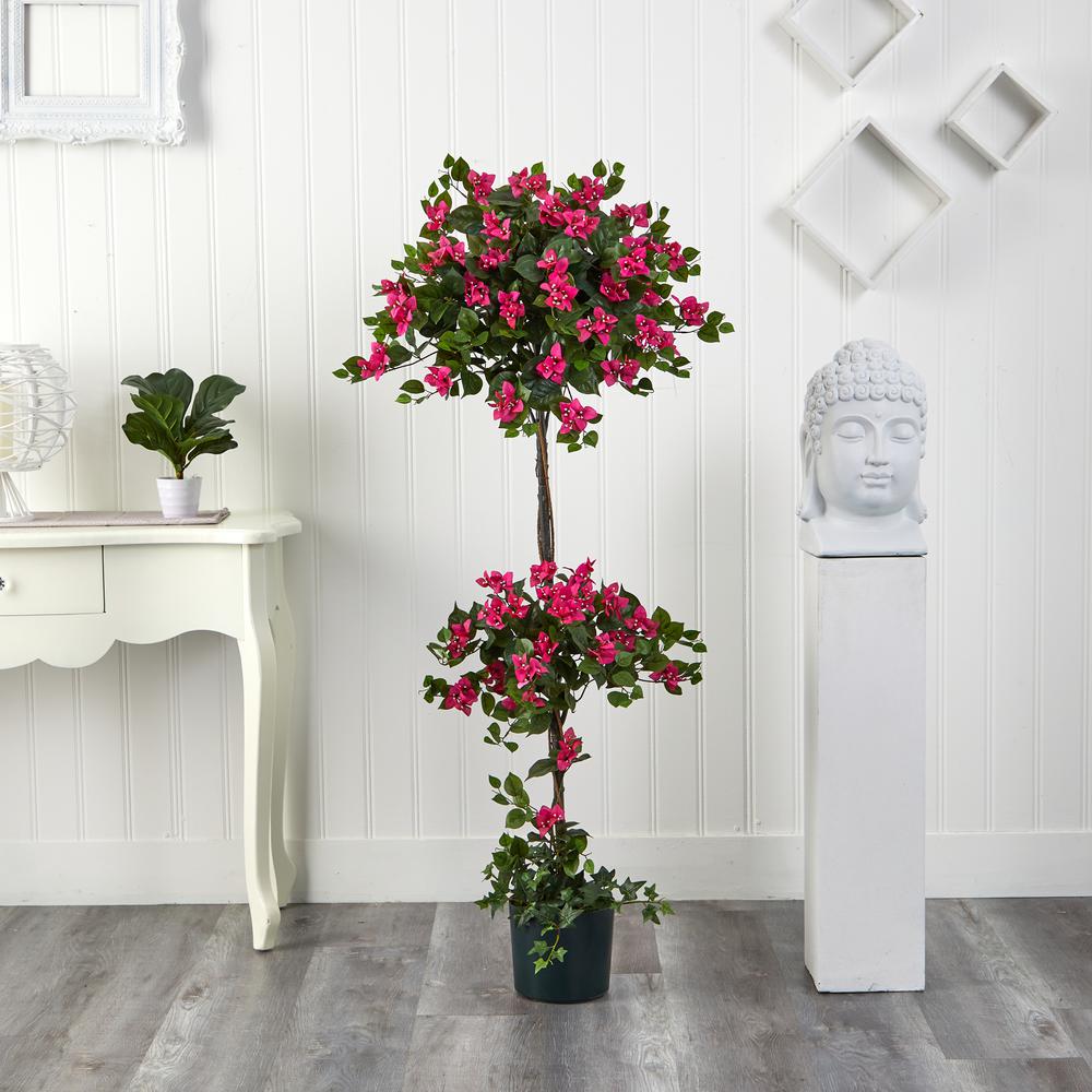 5ft. Mini Bougainvillea Topiary