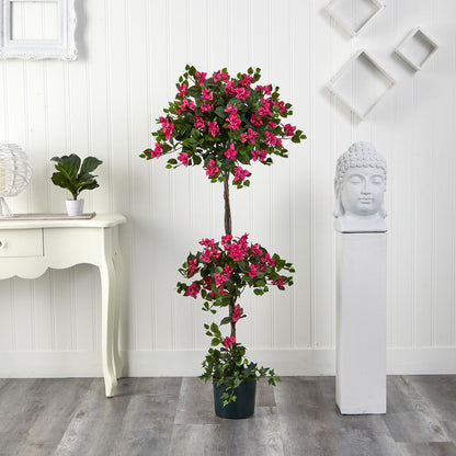 5ft. Mini Bougainvillea Topiary