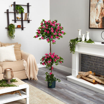 5ft. Mini Bougainvillea Topiary