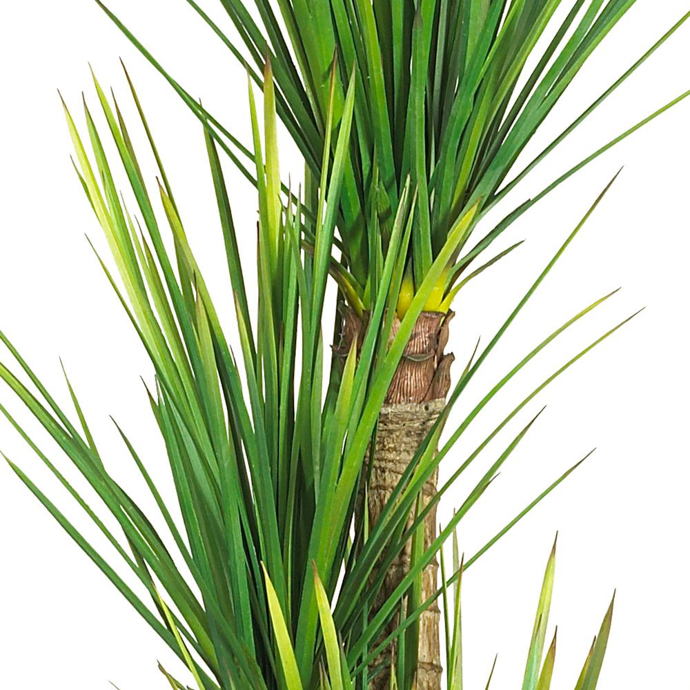58.5in. Yucca Silk Tree