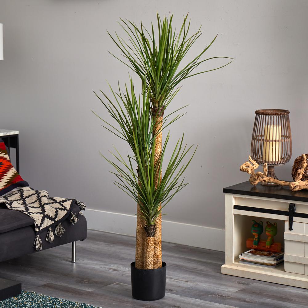 58.5in. Yucca Silk Tree