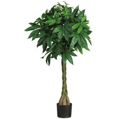 51in. Braided Money Tree