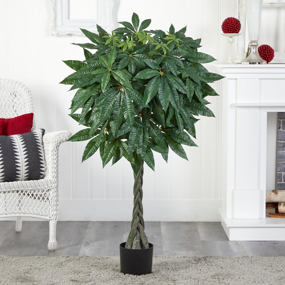 51in. Braided Money Tree