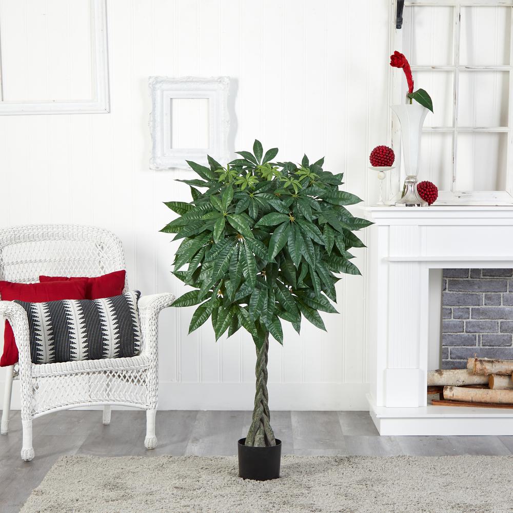 51in. Braided Money Tree