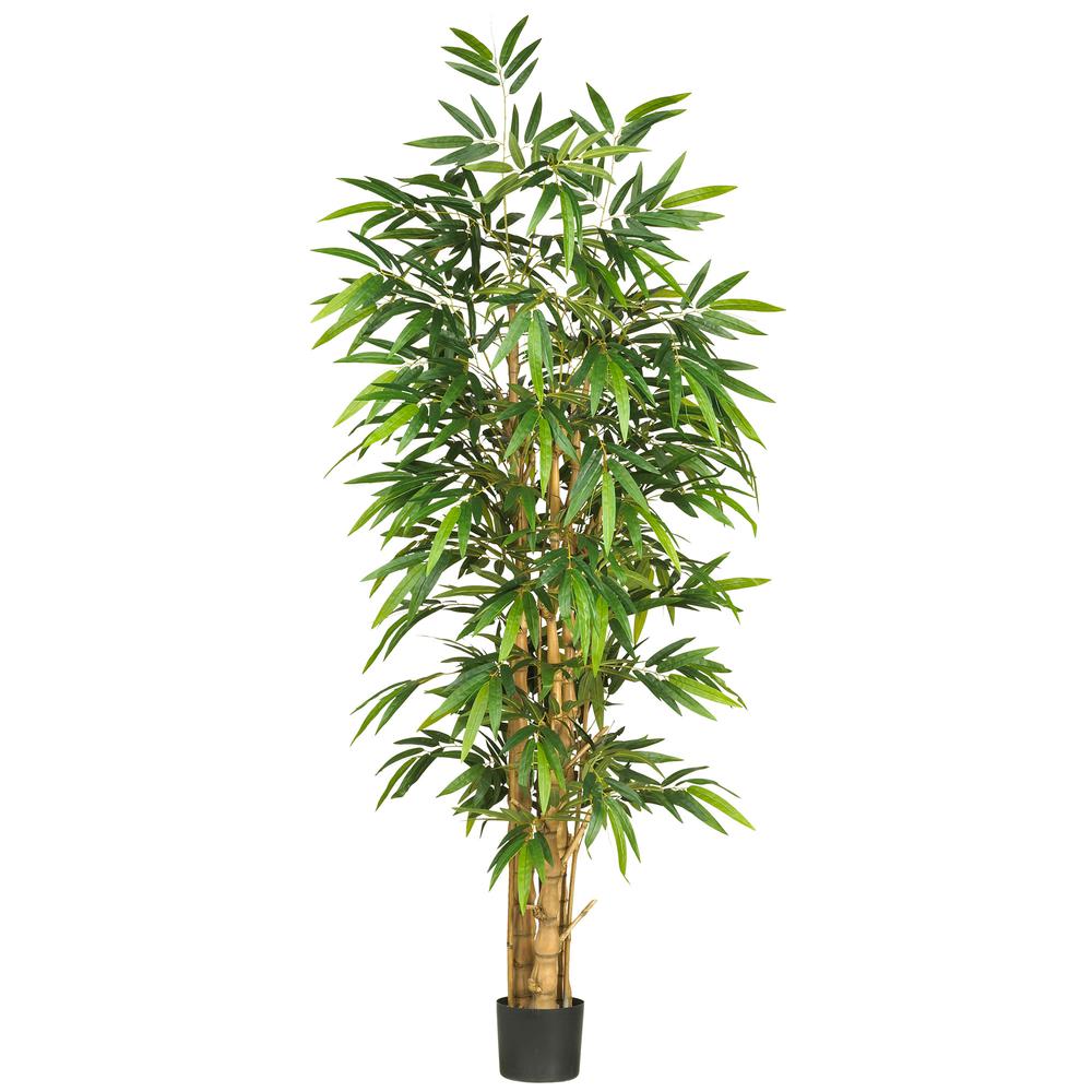 6ft. Belly Bamboo Silk Tree