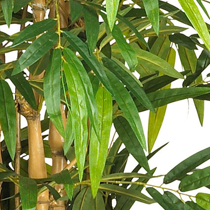 6ft. Belly Bamboo Silk Tree
