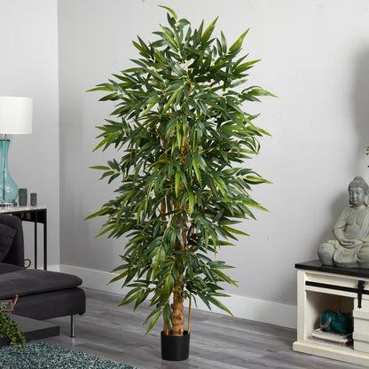 6ft. Belly Bamboo Silk Tree