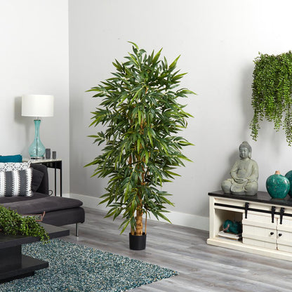 6ft. Belly Bamboo Silk Tree
