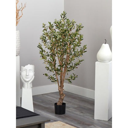 5' Olive Tree w/1380 Lvs