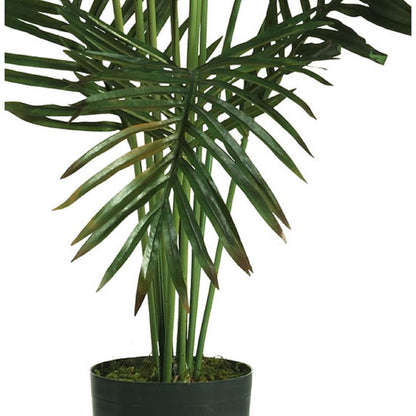 5ft. Paradise Palm