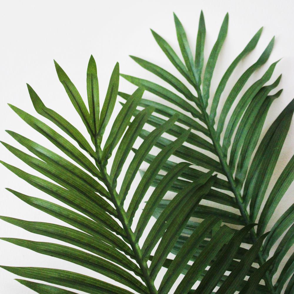 5ft. Paradise Palm