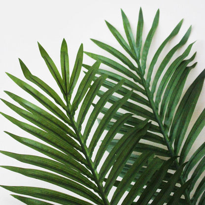 5ft. Paradise Palm
