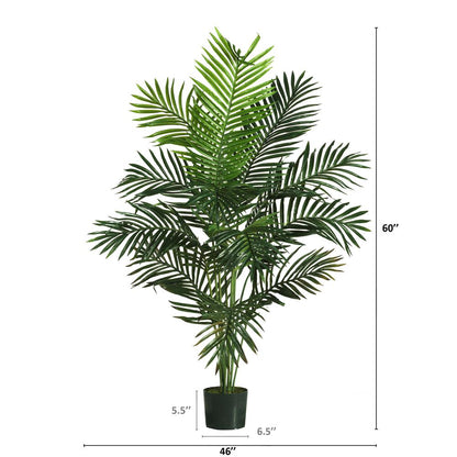5ft. Paradise Palm