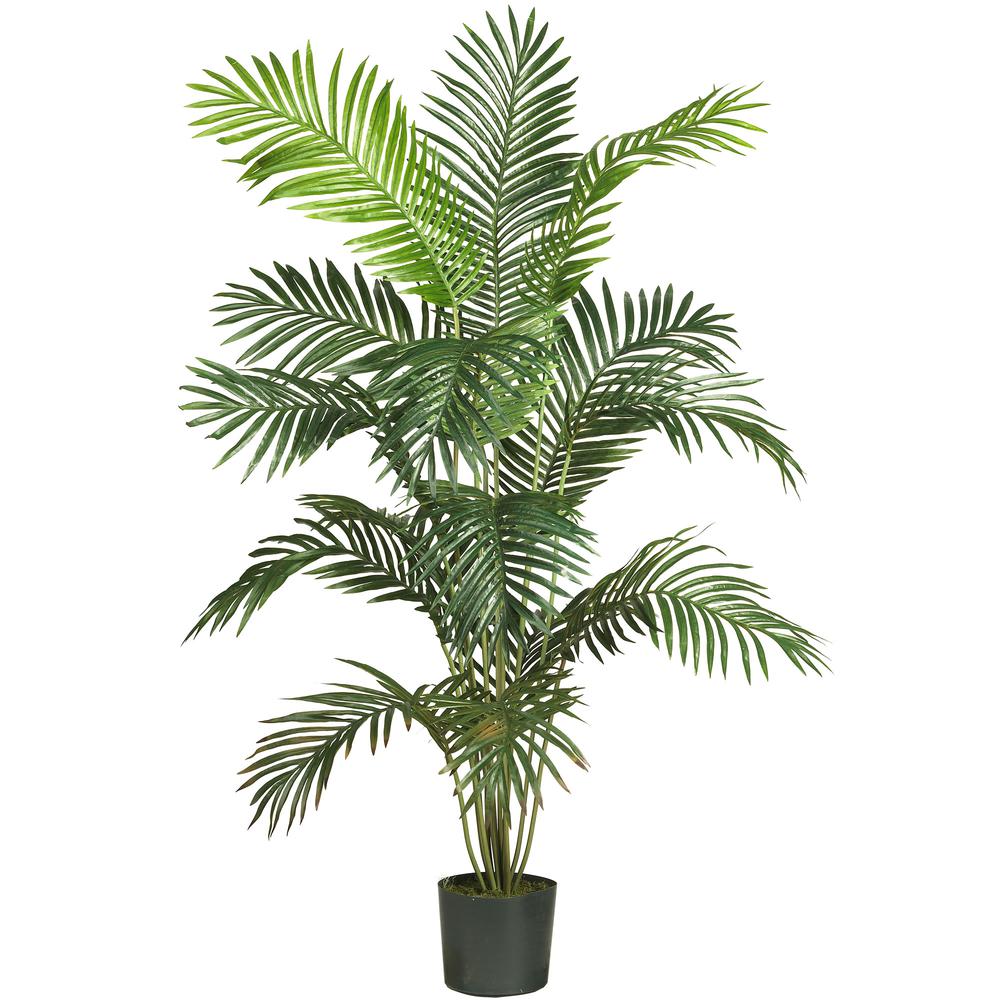 6ft. Paradise Palm