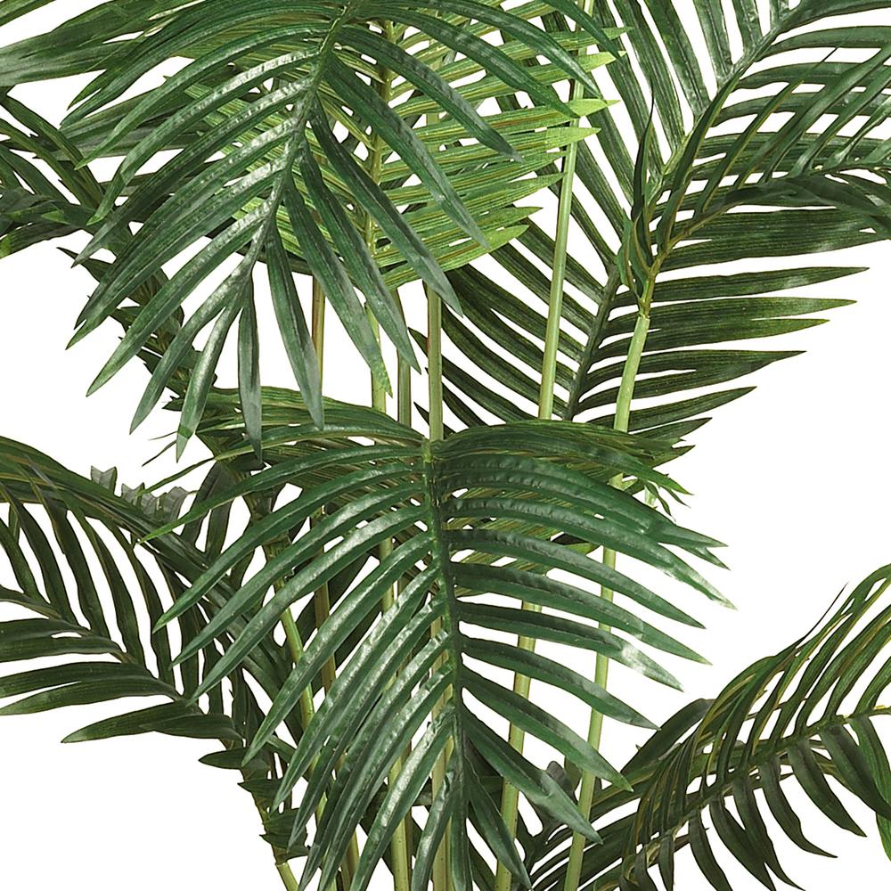 6ft. Paradise Palm