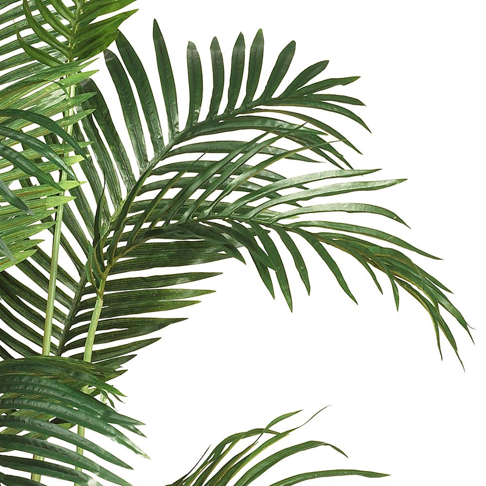 6ft. Paradise Palm