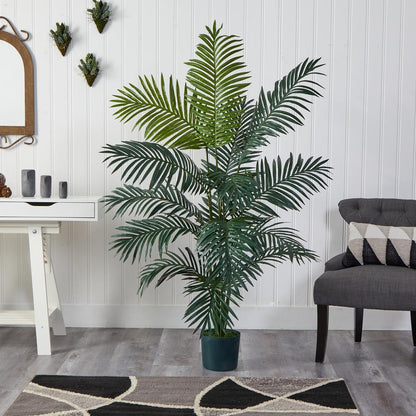 6ft. Paradise Palm