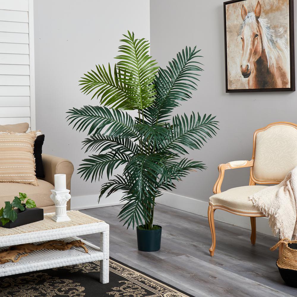 6ft. Paradise Palm