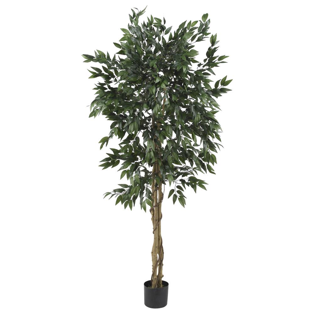 5ft. Smilax Tree