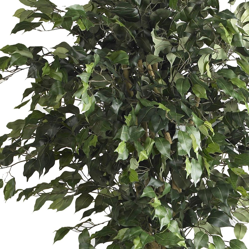 6ft. Double Ball Ficus Silk Tree