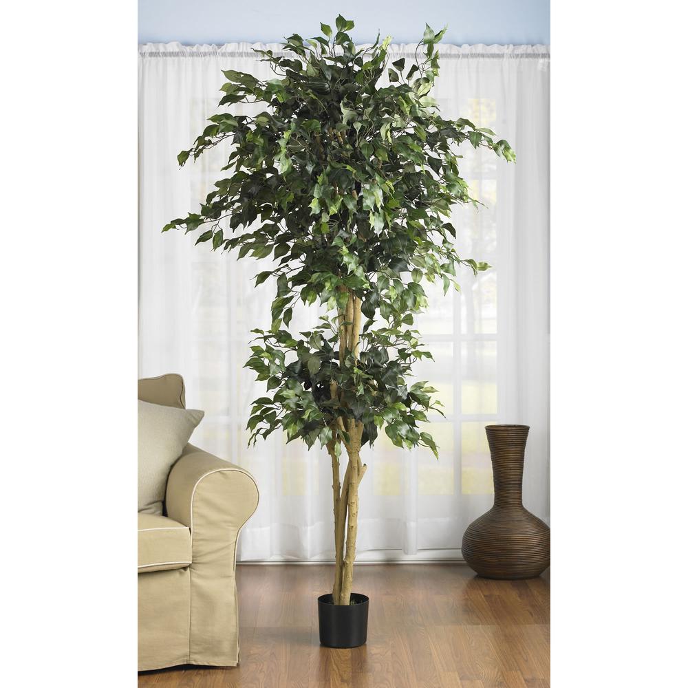 6ft. Double Ball Ficus Silk Tree