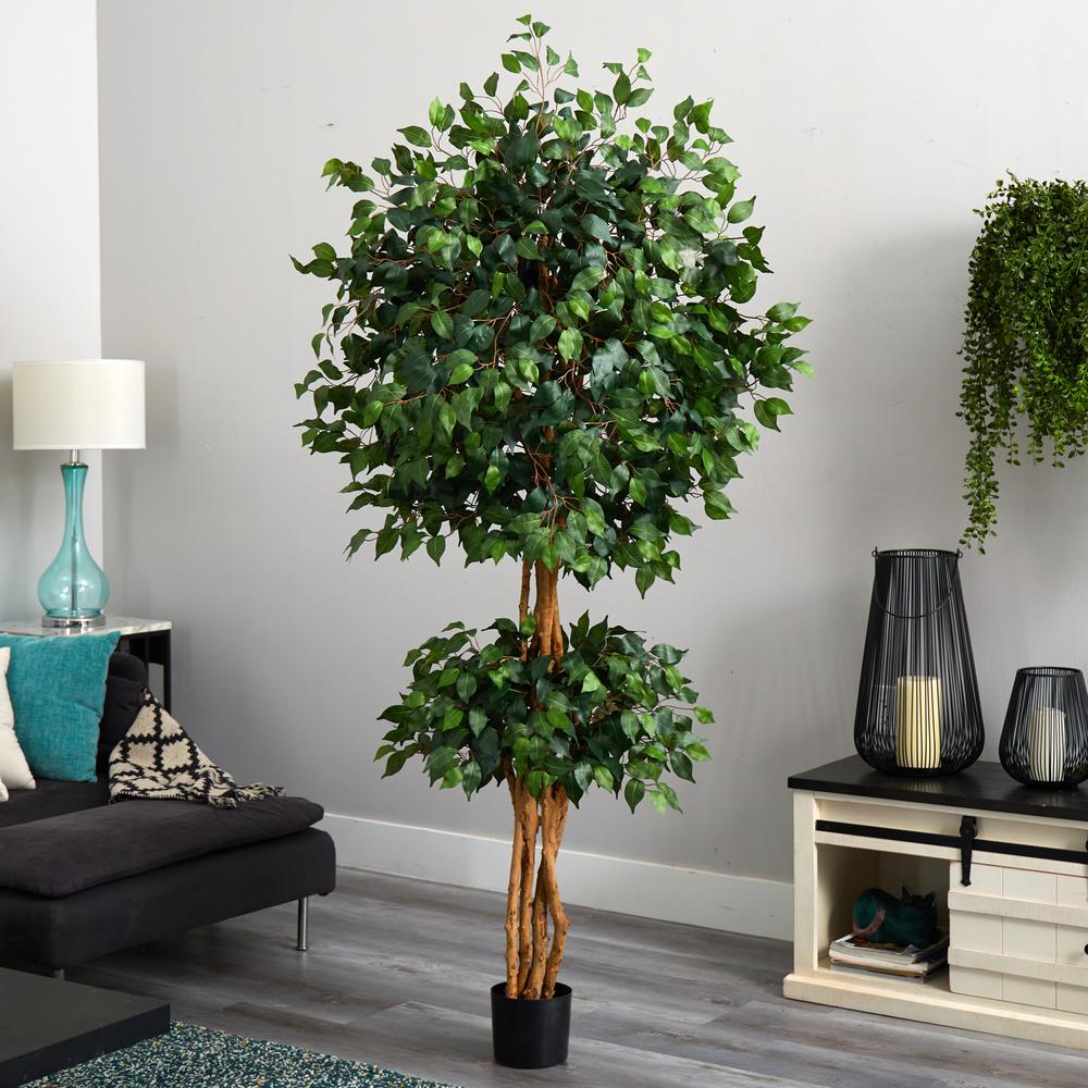 6ft. Double Ball Ficus Silk Tree